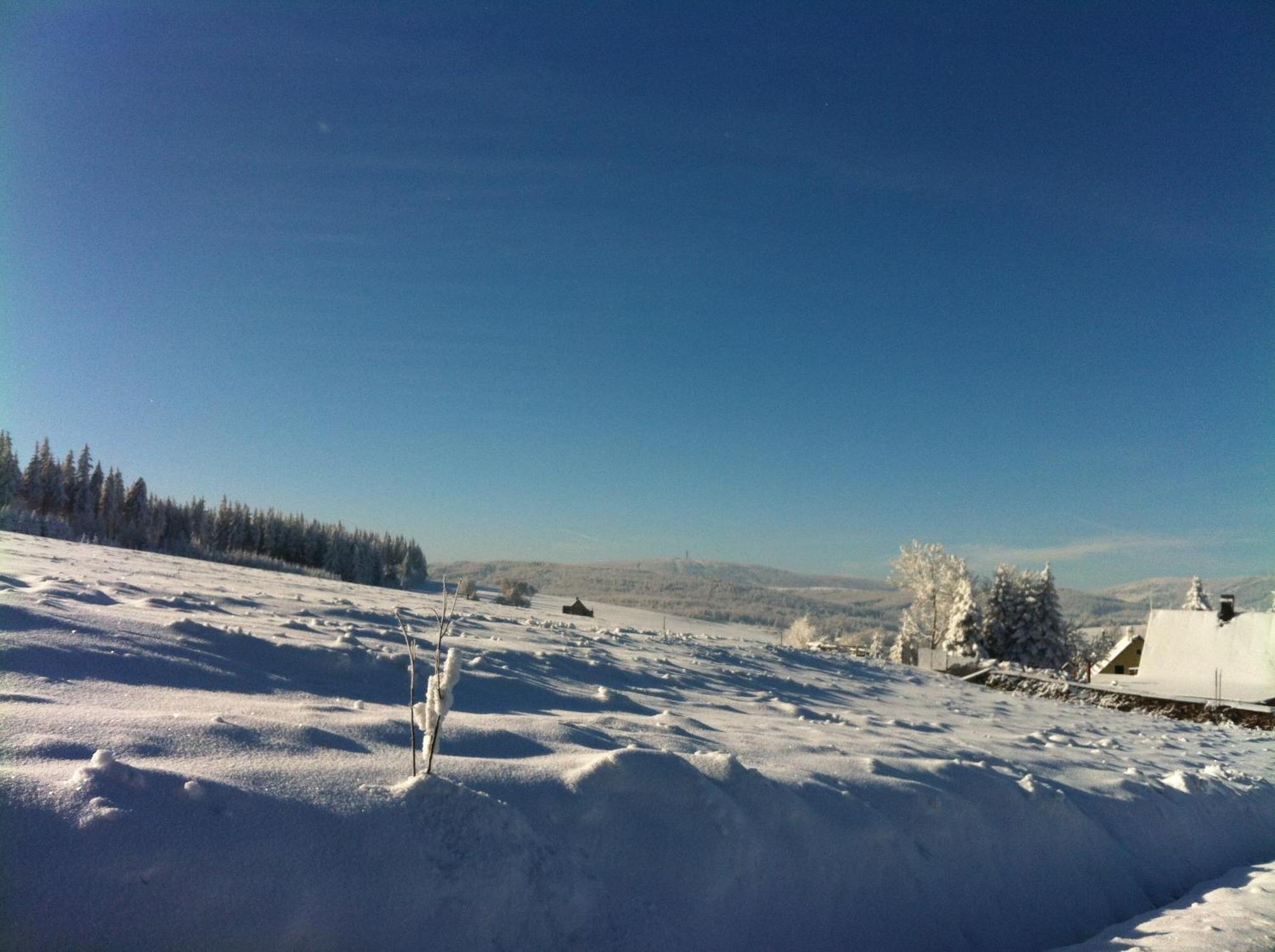 K Zastavce 557 Villa Kovarska Bagian luar foto