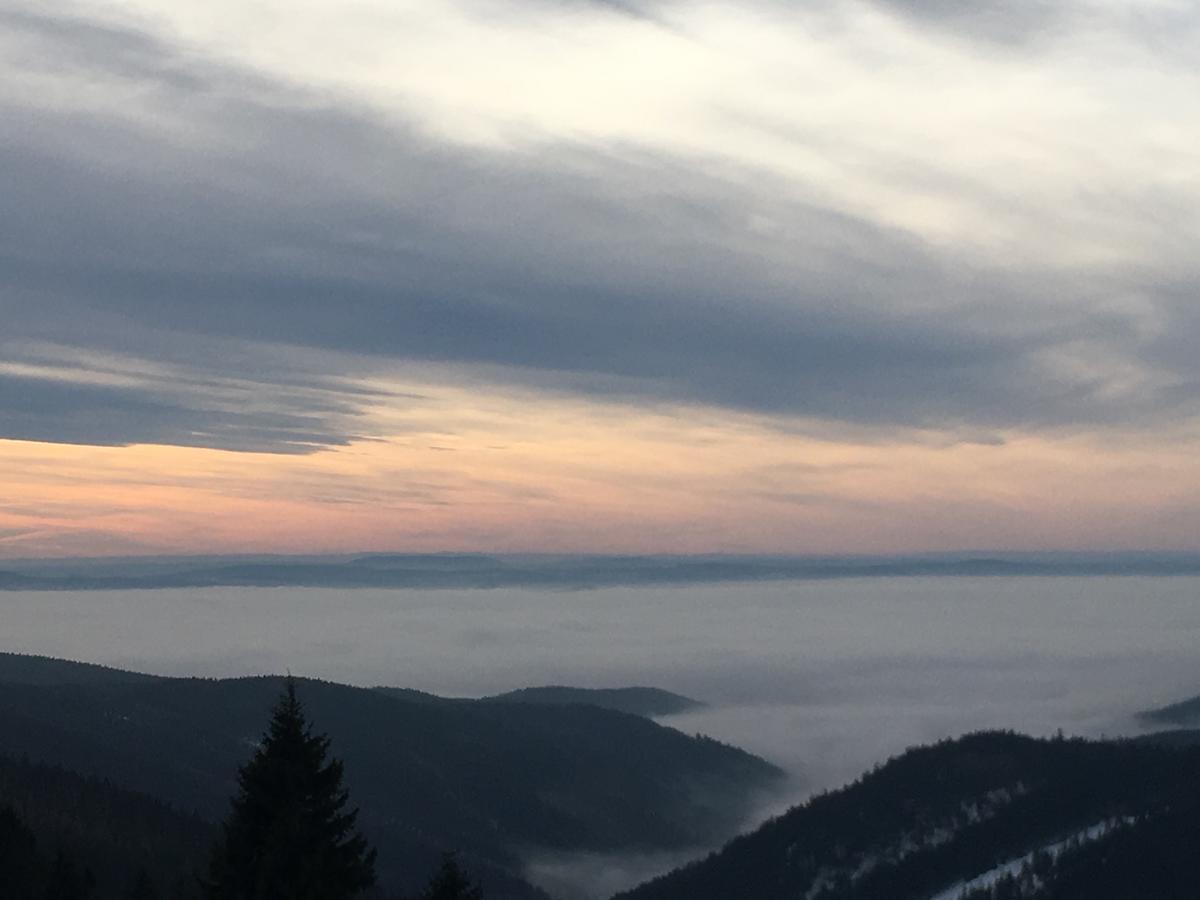 K Zastavce 557 Villa Kovarska Bagian luar foto